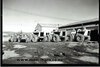 Case 1200 Photos (x7)