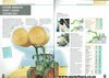 Fendt 400 Vario Series Tractors Sales Brochure