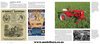 Red Tractors 1958 - 2022 Book