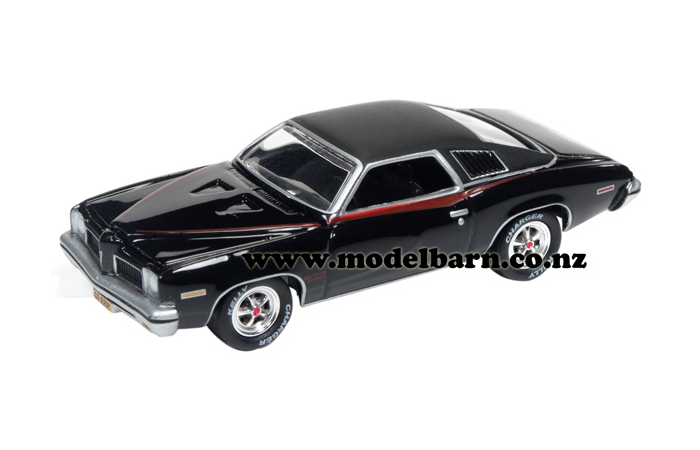 1/64 Pontiac GTO (1973, black)