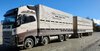 1/64 Volvo FH16-600 Stock Truck & 5-Axle Trailer "Northern Southland Transport"