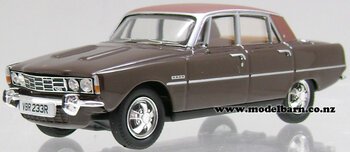 1/43 Rover P6 3500 VIP "Brasilia"-other-vehicles-Model Barn