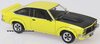 1/24 Holden Torana A9X (yellow)