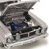1/18 Ford XT Falcon GT (Frosted Pewter)
