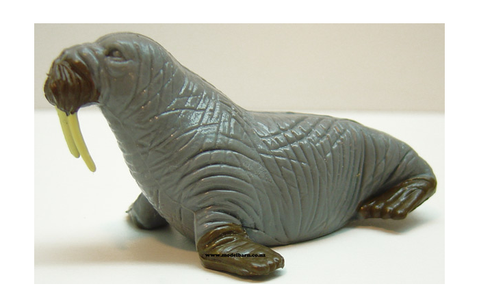 1/32 Walrus