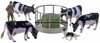 1/32 Friesian Cows Feeder Set