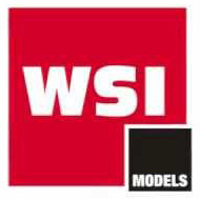 WSI Models